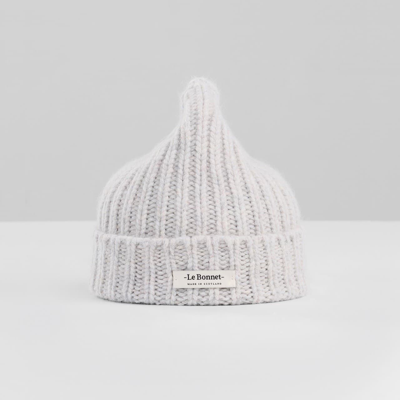 Logo Beanie — Irridescent